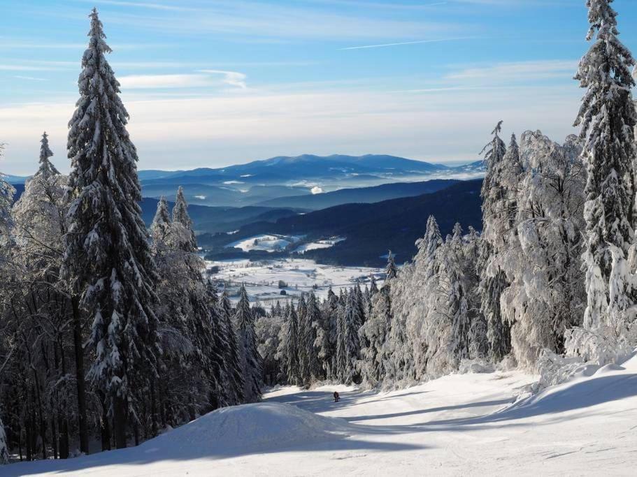 Bayerwald Chalet Kaitersberg Mit Sauna, Sonnenterrasse Und Garten Арнбрук Екстериор снимка